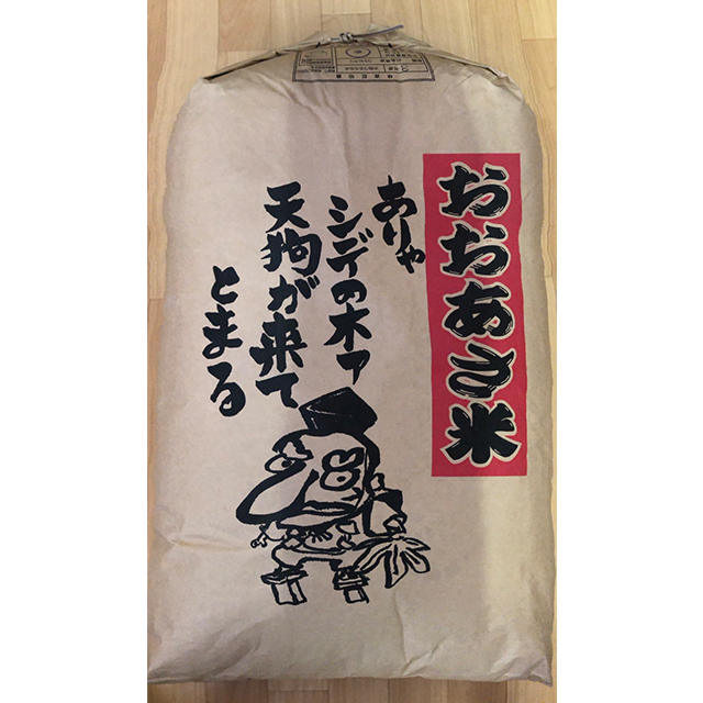 大朝の米　こしひかり（白米）30kg